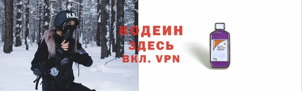 дживик Бородино