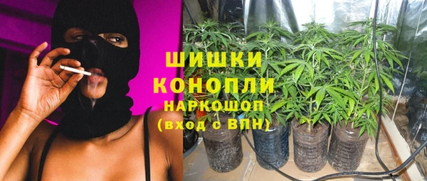 дживик Бородино